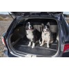 Гумена стелка за багажник Frogum за Toyota Avensis III Touring Sport след 2009 година-Стелки за багажник%